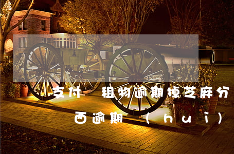 支付寶租物逾期掉芝麻分嗎-支付寶里面租東西逾期會(huì)如何