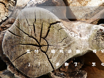 支付寶租物逾期會掉分嗎(在支付寶租手機(jī)逾期了會怎么樣)