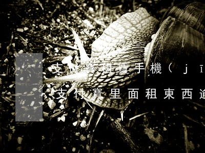 支付寶租賃手機(jī)逾期了有影響嗎-支付寶里面租東西逾期會(huì)如何