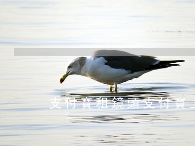 支付寶租鏡頭（支付寶上租賃相機逾期了）