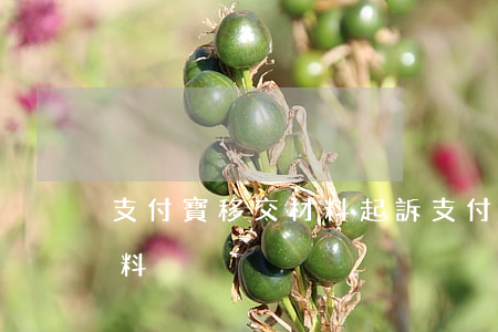 支付寶移交材料起訴(支付寶起說起訴提交材料)