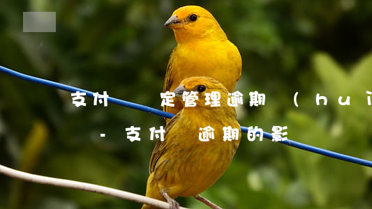支付寶約定管理逾期會(huì)有什么影響-支付寶逾期的影響