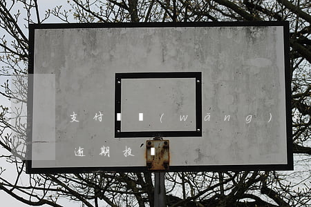 支付寶網(wǎng)商家逾期處理(支付寶逾期投訴)