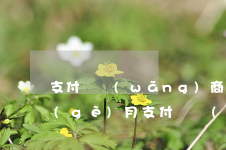 支付寶網(wǎng)商貸1萬7逾期三個(gè)月(支付寶網(wǎng)商貸逾期一個(gè)星期會(huì)怎么樣嗎)