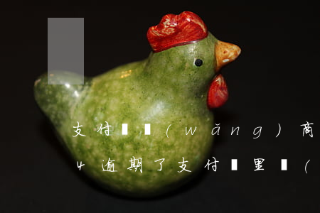 支付寶網(wǎng)商貸2萬(wàn)4逾期了(支付寶里網(wǎng)商貸逾期兩天)