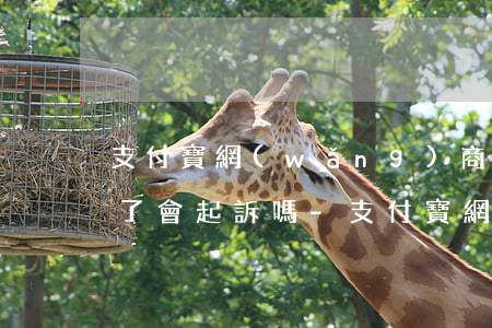 支付寶網(wǎng)商貸2萬逾期5個月了會起訴嗎?-支付寶網(wǎng)商貸2萬逾期5個月了會起訴嗎