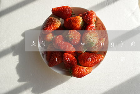 支付寶網(wǎng)商貸50萬逾期(支付寶網(wǎng)商貸50萬逾期)