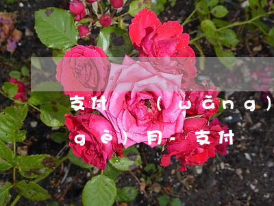 支付寶網(wǎng)商貸8萬逾期4個(gè)月-支付寶網(wǎng)商貸欠了4萬逾期1年