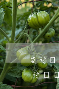 支付寶網(wǎng)商貸8萬逾期一年(支付寶網(wǎng)商貸逾期兩年)