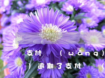 支付寶網(wǎng)商貸三四萬(wàn)逾期了(支付寶網(wǎng)商貸逾期5萬(wàn)多,會(huì)被起訴嗎)