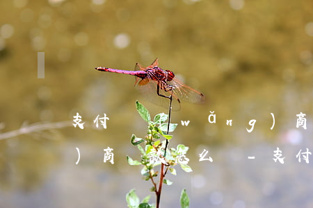支付寶網(wǎng)商貸不給協(xié)商還款怎么辦-支付寶網(wǎng)商貸不給協(xié)商還款怎么辦呢