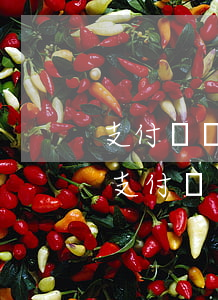 支付寶網(wǎng)商貸不逾期會斷貸嗎(支付寶網(wǎng)商貸逾期了怎么單獨還款)