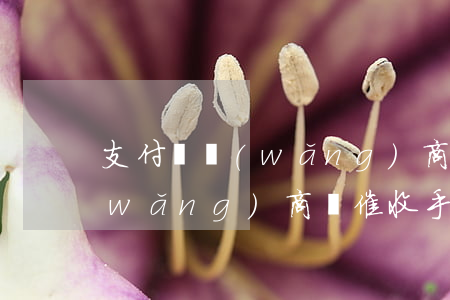 支付寶網(wǎng)商貸催收暴力嗎(網(wǎng)商貸催收手段)