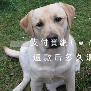 支付寶網(wǎng)商貸協(xié)商還款后多久清賬-支付寶網(wǎng)商貸協(xié)商還款后多久清賬啊