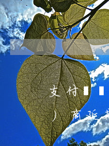 支付寶網(wǎng)商貸可以協(xié)商延期還款嗎-支付寶網(wǎng)商貸可以協(xié)商延期還款嗎