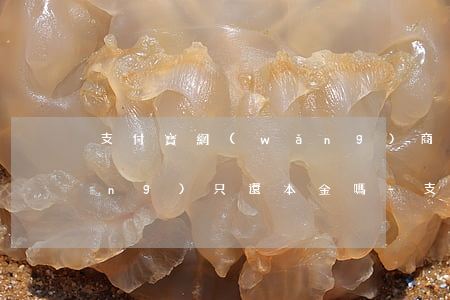 支付寶網(wǎng)商貸可以申請(qǐng)只還本金嗎-支付寶網(wǎng)商貸可以申請(qǐng)只還本金嗎安全嗎