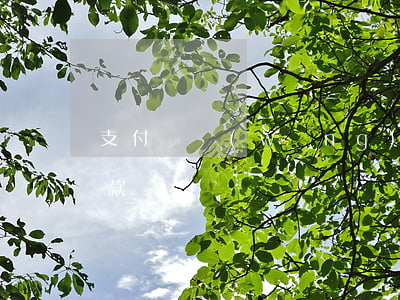 支付寶網(wǎng)商貸怎么提前最低還款-