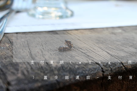 支付寶網(wǎng)商貸怎么設(shè)置全部還款-支付寶網(wǎng)商貸怎么設(shè)置全部還款金額