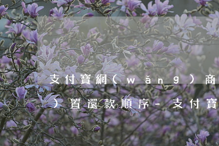支付寶網(wǎng)商貸怎么設(shè)置還款順序-支付寶網(wǎng)商貸怎么設(shè)置還款順序呢