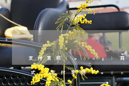 支付寶網(wǎng)商貸怎么選擇還款方式-支付寶網(wǎng)商貸怎么選擇還款方式啊