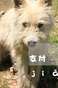 支付寶網(wǎng)商貸提前還款不見(jiàn)額度了-支付寶網(wǎng)商貸提前還款不見(jiàn)額度了怎么回事
