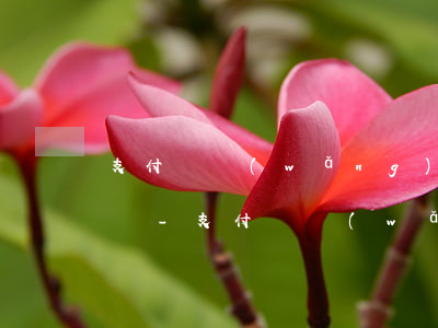 支付寶網(wǎng)商貸提前還款要收費嗎-支付寶網(wǎng)商貸提前還款要收費嗎是真的嗎