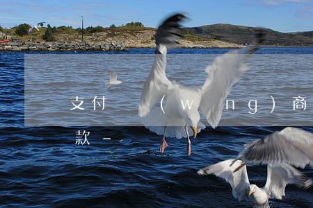 支付寶網(wǎng)商貸最晚什么時候還款-