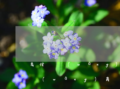 支付寶網(wǎng)商貸會逾期嗎(支付寶網(wǎng)商貸欠款逾期3個多月說上門)