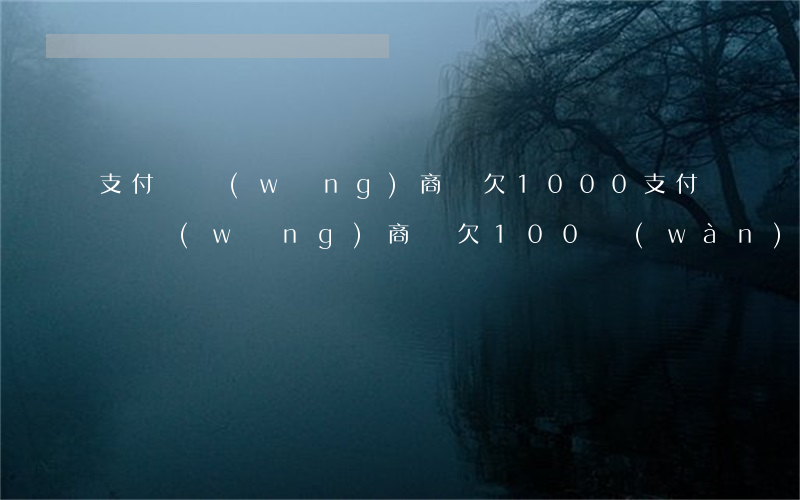 支付寶網(wǎng)商貸欠1000(支付寶網(wǎng)商貸欠100萬(wàn))