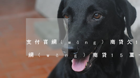 支付寶網(wǎng)商貸欠15萬(支付寶網(wǎng)商貸15萬一年利息)