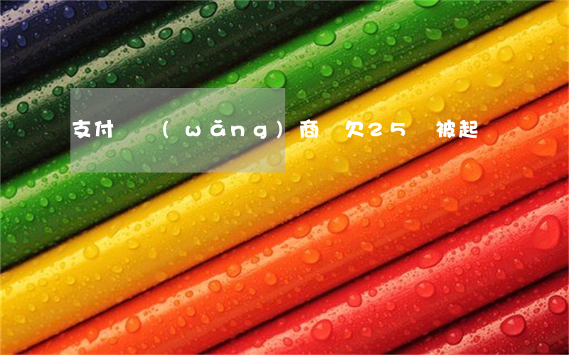 支付寶網(wǎng)商貸欠25萬被起訴