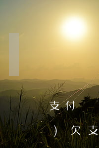 支付寶網(wǎng)商貸欠4萬(wàn)(欠支付寶網(wǎng)商貸5萬(wàn)多)