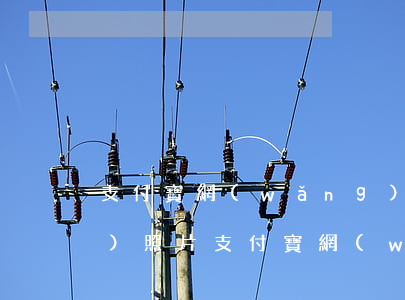 支付寶網(wǎng)商貸欠5萬(wàn)照片(支付寶網(wǎng)商貸還款圖片)