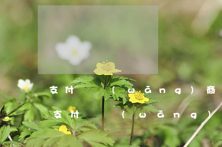 支付寶網(wǎng)商貸欠5萬逾期1年(支付寶網(wǎng)商貸欠款逾期3個(gè)多月說起訴)