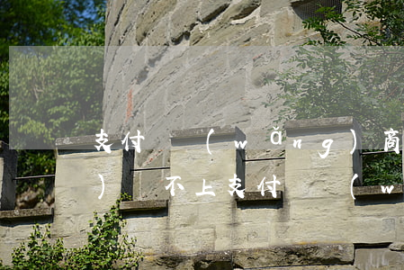 支付寶網(wǎng)商貸欠9萬(wàn)還不上(支付寶網(wǎng)商貸欠錢了暫時(shí)無(wú)法還怎么辦)
