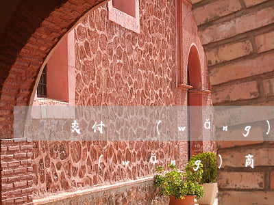 支付寶網(wǎng)商貸欠三千塊(支付寶網(wǎng)商貸怎么回事)