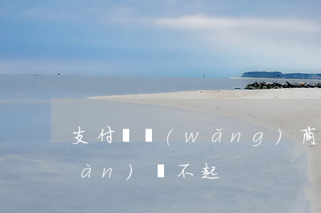 支付寶網(wǎng)商貸欠了10萬(wàn)還不起