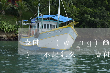 支付寶網(wǎng)商貸欠兩萬(wàn)還不起怎么辦-支付寶網(wǎng)商貸欠兩萬(wàn)還不起怎么辦呢