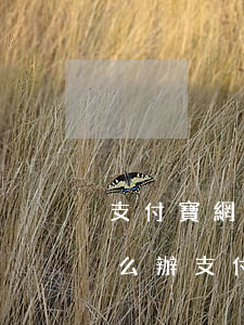 支付寶網(wǎng)商貸欠兩萬還不起怎么辦(支付寶網(wǎng)商貸還不起了怎么辦)