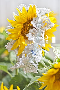支付寶網(wǎng)商貸欠四千會(huì)家訪嗎(支付寶網(wǎng)商貸欠四千會(huì)家訪嗎)