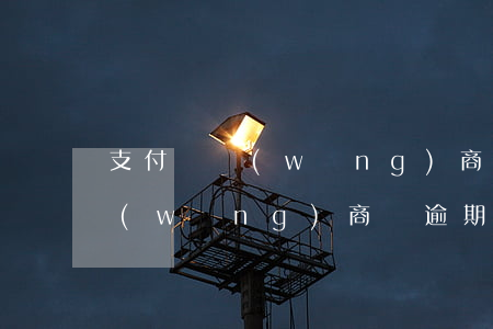 支付寶網(wǎng)商貸欠幾年(支付寶網(wǎng)商貸逾期半年)
