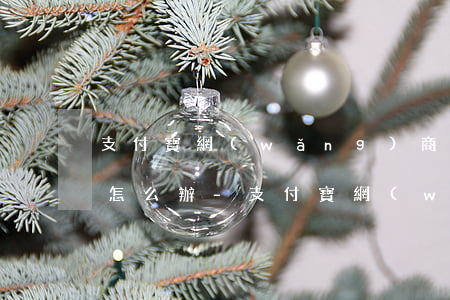 支付寶網(wǎng)商貸款逾期了沒錢還怎么辦-支付寶網(wǎng)商貸款逾期了沒錢還怎么辦呢