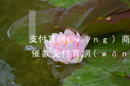 支付寶網(wǎng)商貸法務(wù)部催款（支付寶網(wǎng)商貸逾期法務(wù)部）