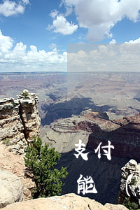 支付寶網(wǎng)商貸無(wú)逾期能協(xié)商還款么-支付寶網(wǎng)商貸無(wú)逾期能協(xié)商還款么嗎