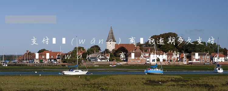 支付寶網(wǎng)商貸能逾期多久(支付寶網(wǎng)商貸欠款逾期3個(gè)多月說上門)