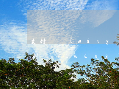 支付寶網(wǎng)商貸花唄欠11萬(支付寶網(wǎng)商貸五十萬還不起了)