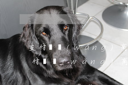 支付寶網(wǎng)商貸跟花唄逾期-支付寶網(wǎng)商貸跟花唄逾期了