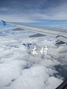 支付寶網(wǎng)商貸逾期16萬