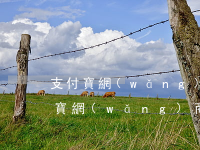 支付寶網(wǎng)商貸逾期18天(支付寶網(wǎng)商貸逾期18天)