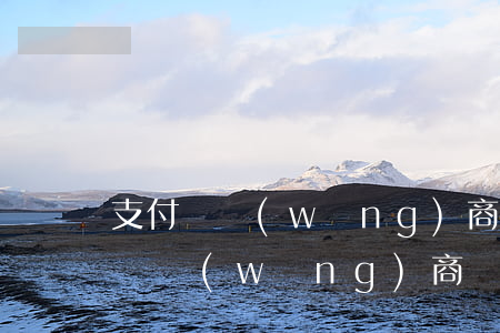 支付寶網(wǎng)商貸逾期1個月(支付寶網(wǎng)商貸逾期三個月了,被起訴后會怎樣)